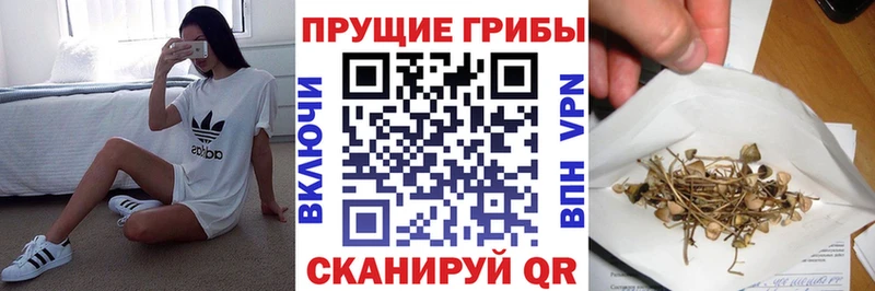 Псилоцибиновые грибы Magic Shrooms Ершов